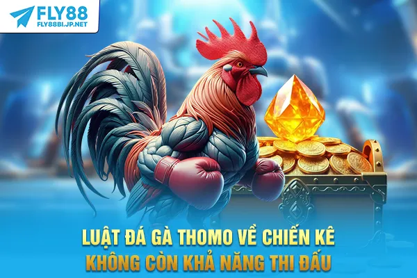 Luật đá gà thomo 