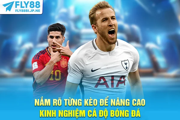 Nắm rõ từng kèo để nâng cao kinh nghiệm cá độ bóng đá